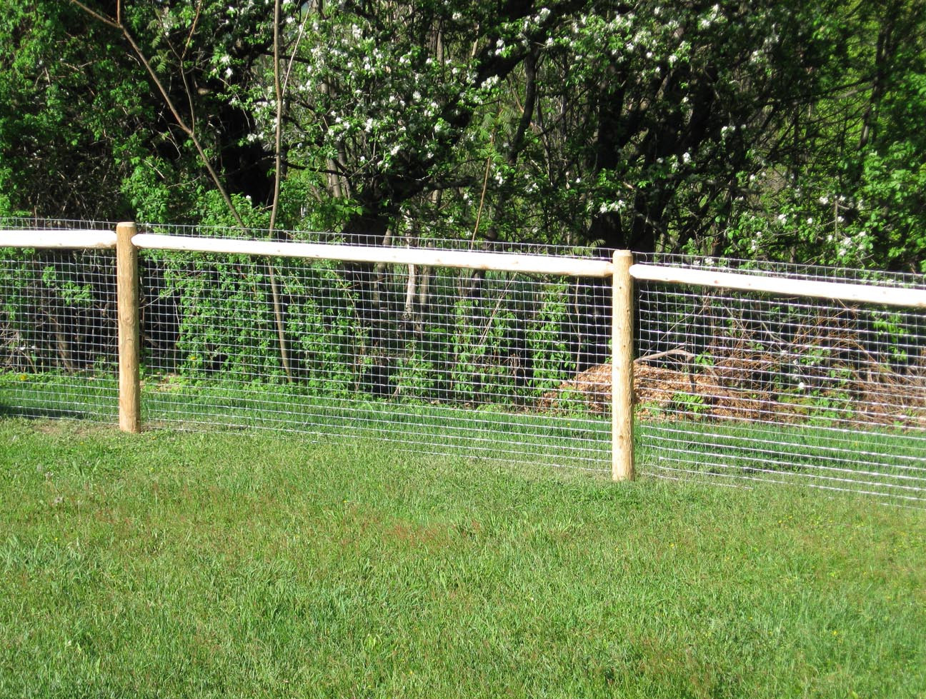 DIY Dog Fence Ideas
 Cheap Fence Ideas For Dogs In DIY Reusable And Portable