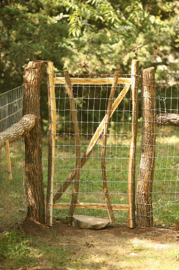 DIY Dog Fence Ideas
 Beautiful Rustic Dog Fence