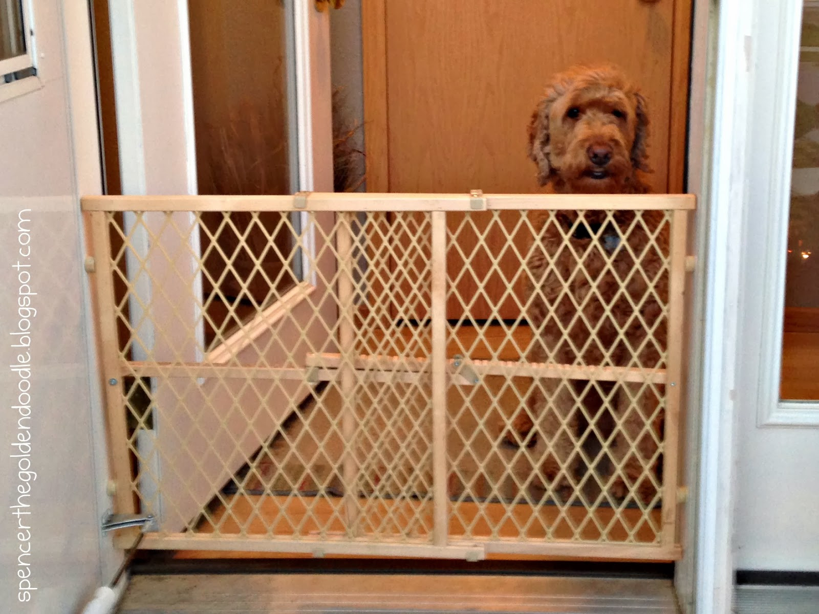 DIY Dog Gates
 HMH Designs DIY Dog Gate from a Bench A Tutorial