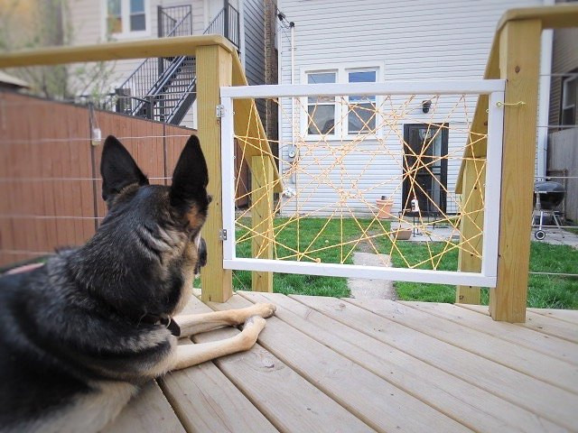 DIY Dog Gates
 Hometalk