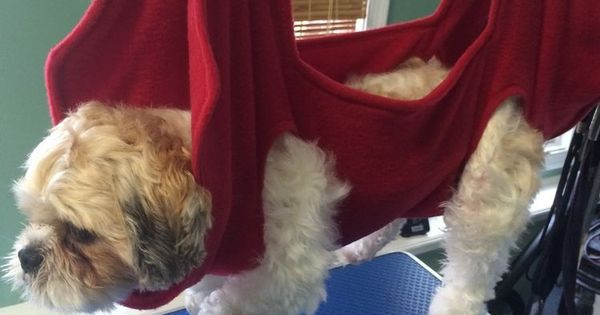 DIY Dog Grooming Hammock
 dog grooming hammock can diy a version for mobility