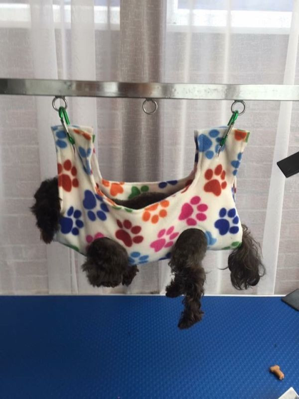 DIY Dog Grooming Hammock
 Teacup Calming Cradle Grooming Hammock