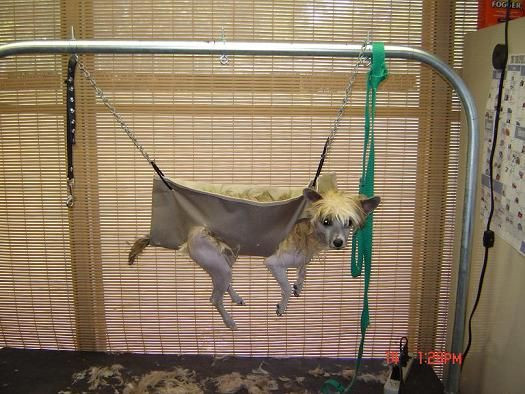 DIY Dog Grooming Hammock
 17 Best images about dog grooming hammock on Pinterest