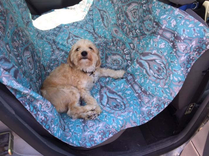 DIY Dog Grooming Hammock
 25 best ideas about Dog hammock on Pinterest