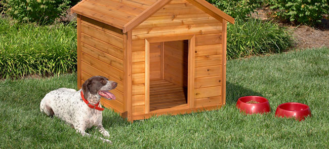 DIY Dog House Kits
 10 Free Dog House Plans