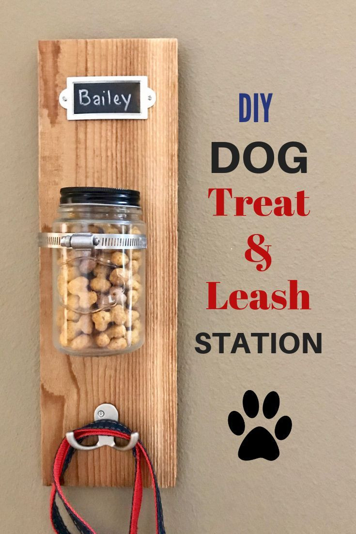 DIY Dog Leash
 DIY Dog Treat & Leash Station with Milk Bone ad