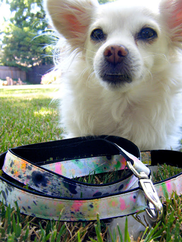 DIY Dog Leash
 Dog I Y 10 Stylish DIY Dog Collars Leashes and