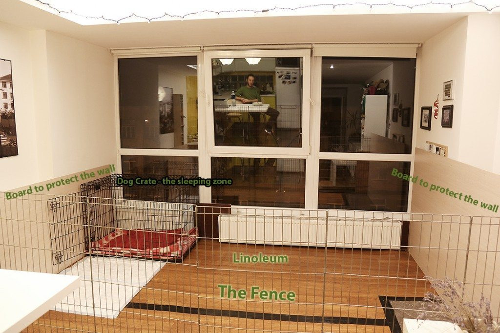 DIY Dog Pen Indoor
 How To Build A Dog Kennel Pen Indoors At Home German