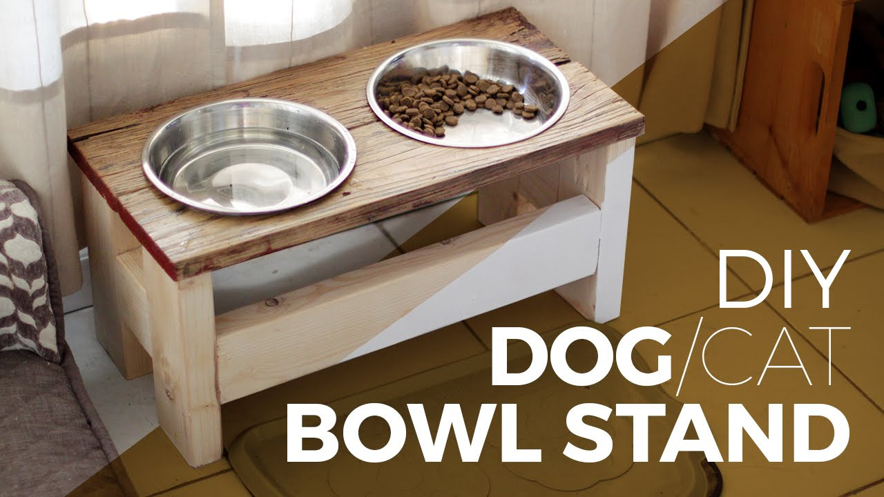 DIY Dog Platform
 How to make a Dog Bowl Stand DIY or Cat