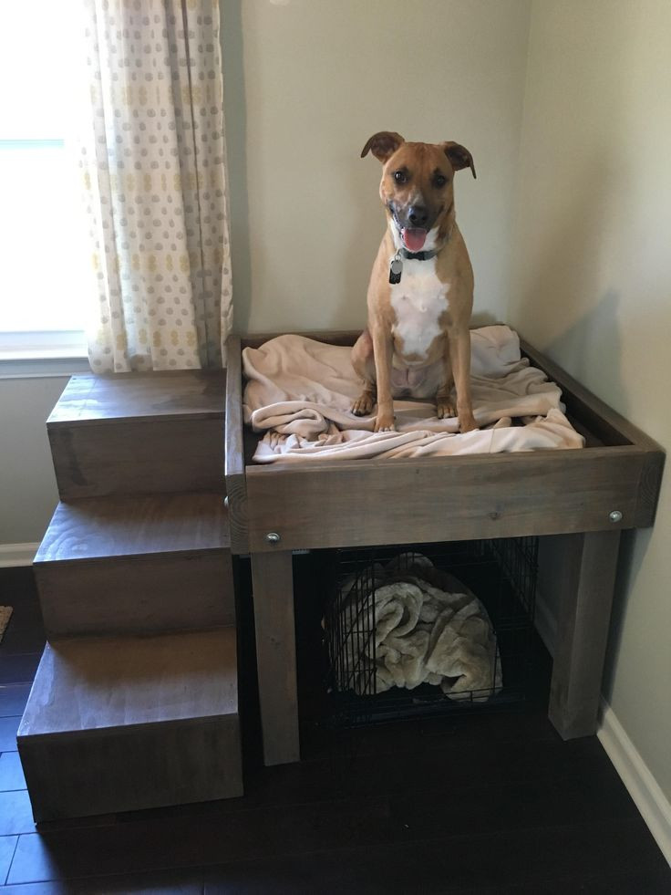 DIY Dog Platform
 Best 25 Homemade dog bed ideas on Pinterest