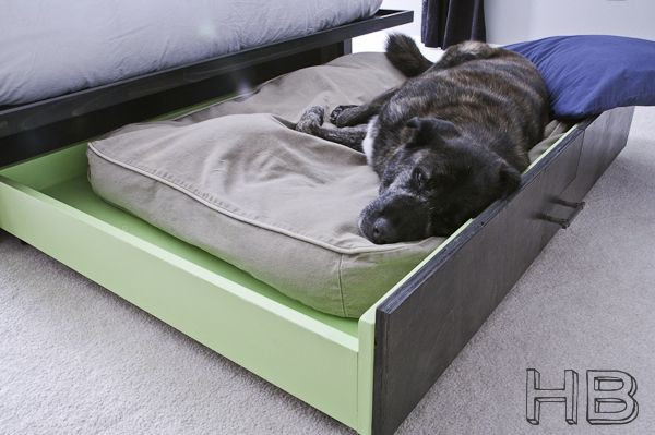 DIY Dog Platform
 Trundle Dog Bed ANIMALS Pinterest