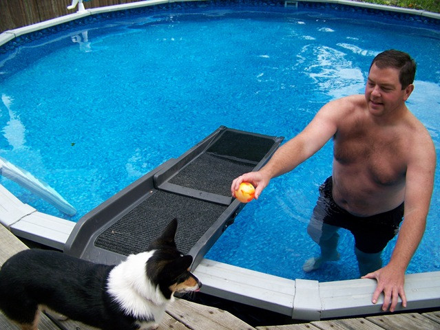 DIY Dog Pool Ramp
 Drowning or Near Drowning Emergency Pet Information