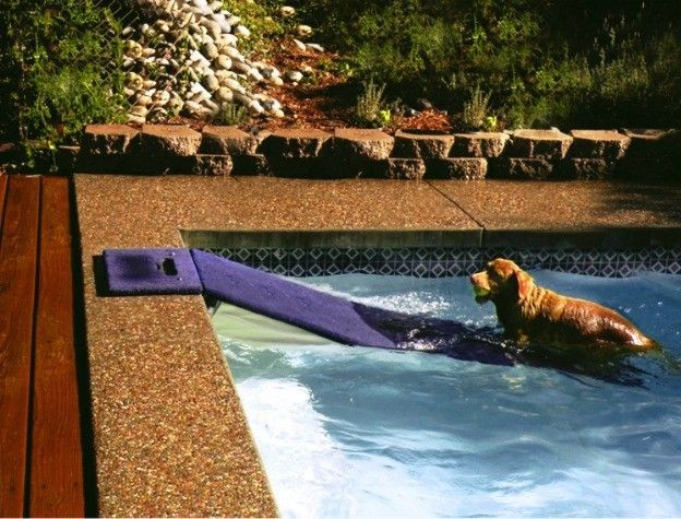 DIY Dog Pool Ramp
 A Floating Dog Ramp maybe one day we ll have a pool to
