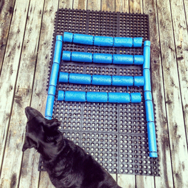 DIY Dog Pool Ramp
 DIY Dock & Boat Ramp for Dogs – Halifax Dogventures