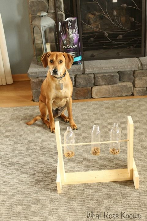 DIY Dog Puzzle Toys
 Easy Treat Dog Food Dispenser Tutorial Purina Pro Plan