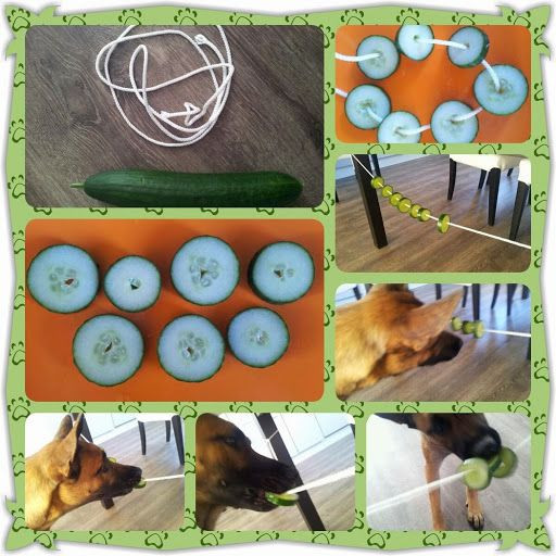 DIY Dog Puzzle Toys
 112 best DIY Dog Enrichment images on Pinterest