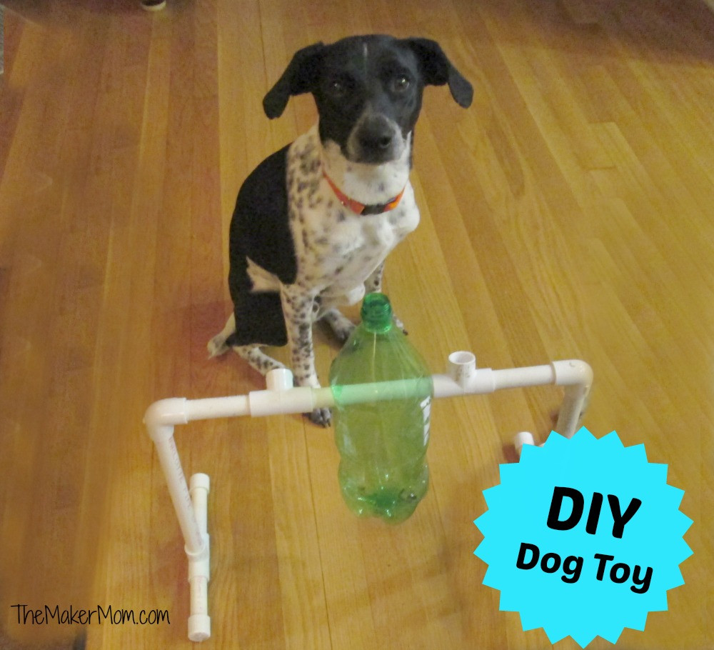DIY Dog Puzzle Toys
 DIY Dog Treat Dispenser Toy
