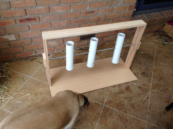 DIY Dog Puzzles
 Best 25 Dog enrichment ideas on Pinterest