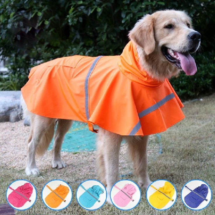 DIY Dog Raincoat
 Best 25 Dog raincoat ideas on Pinterest