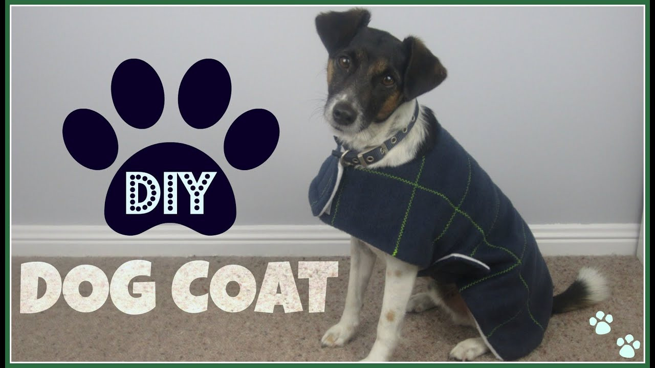 DIY Dog Raincoat
 Step by Step Sewing DIY Dog Coat
