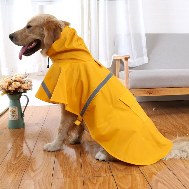 DIY Dog Raincoat
 Best 25 Dog raincoat ideas on Pinterest