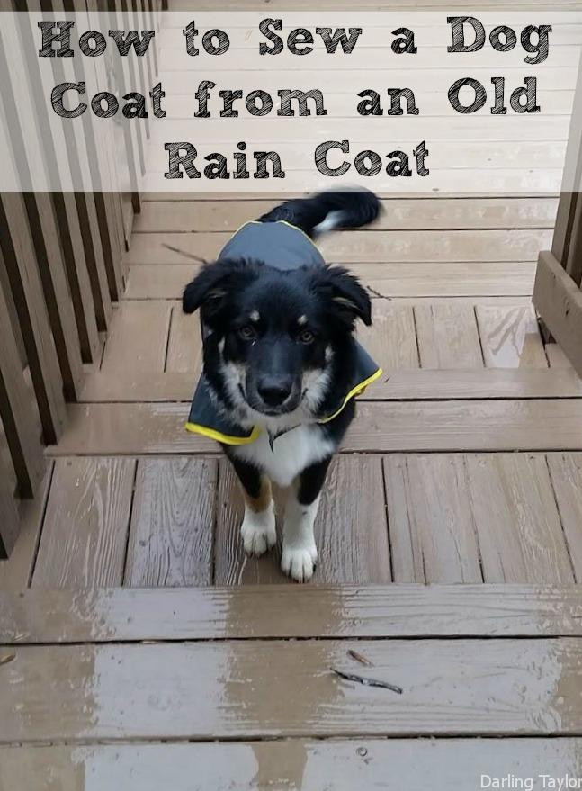 DIY Dog Raincoat
 How to Sew a Dog Coat from an Old Rain Coat Simple Made