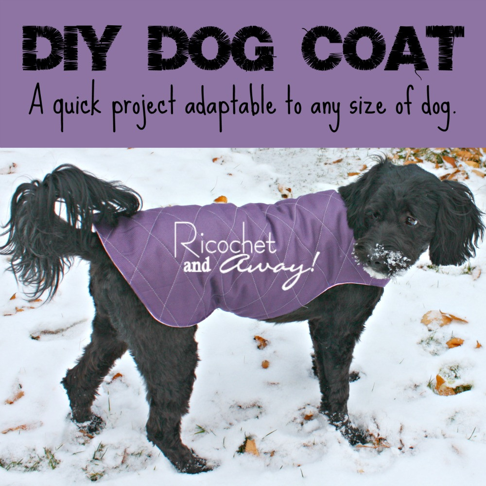 DIY Dog Raincoat
 Ricochet and Away DIY Dog Coat