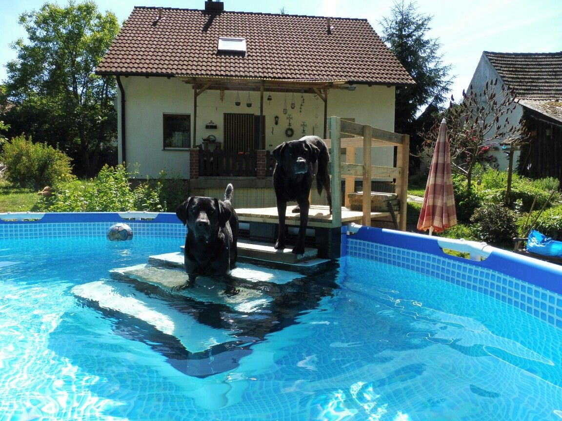 DIY Dog Ramp For Above Ground Pool
 Pool stairs dog ramp pallets diy dog stairs