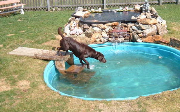 DIY Dog Ramp For Above Ground Pool
 64 Pool Stairs For Dogs DIY Pool Dog Ramp