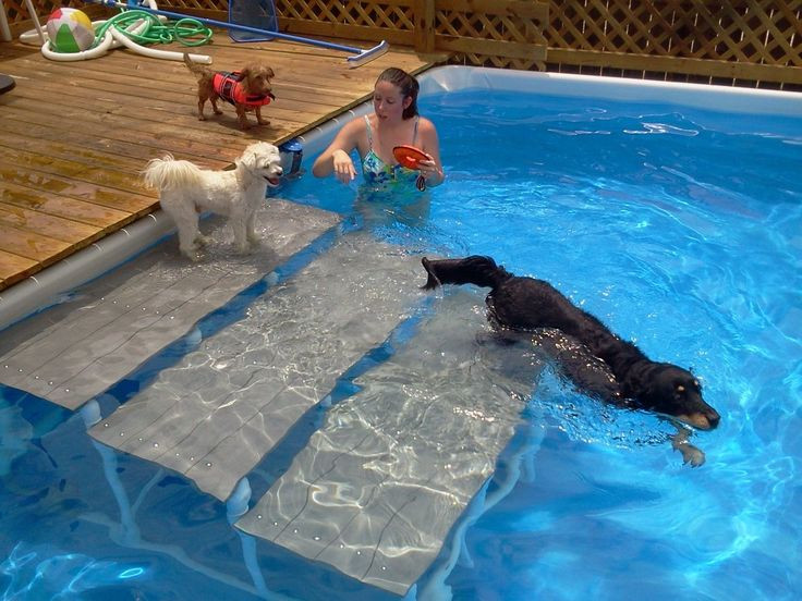 DIY Dog Ramp For Above Ground Pool
 pool steps …