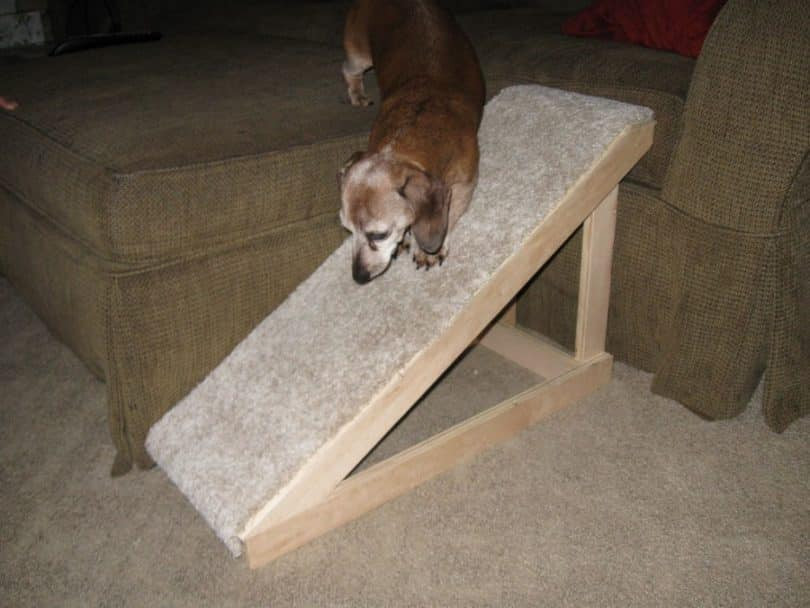 DIY Dog Ramp For Stairs
 How to Build A Dog Ramp Tools And Materials