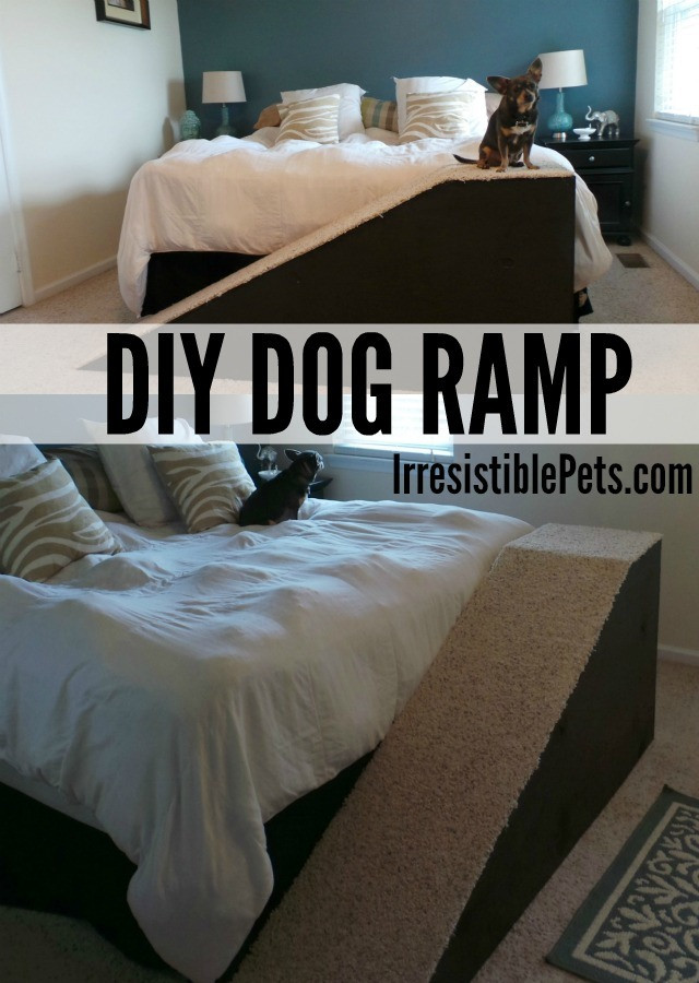 DIY Dog Ramp For Stairs
 DIY Dog Ramp Irresistible Pets