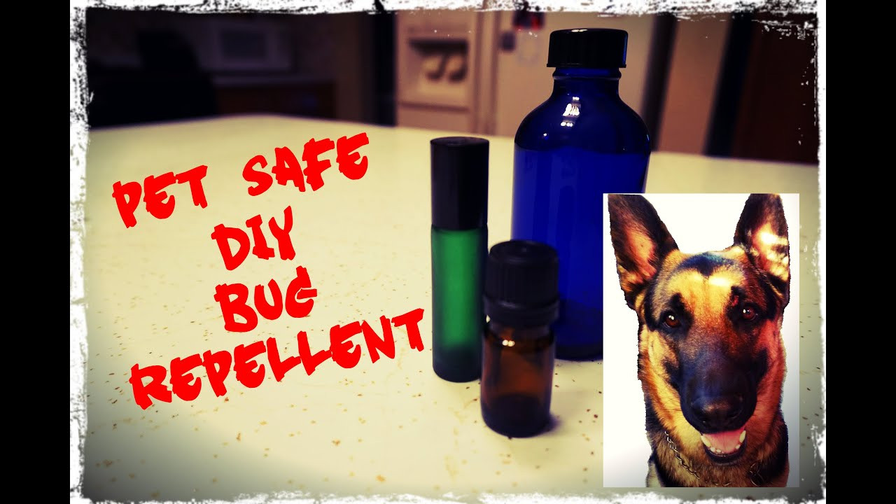 DIY Dog Repellent
 DIY The Best Natural Dog Friendly Bug Repellent for Ticks