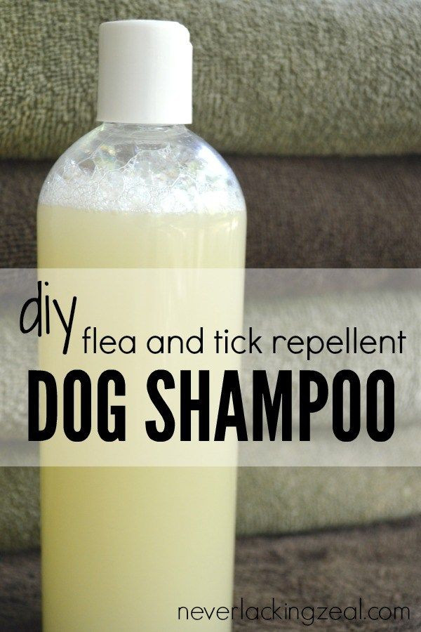 DIY Dog Repellent
 1000 ideas about Dog Flea Reme s on Pinterest