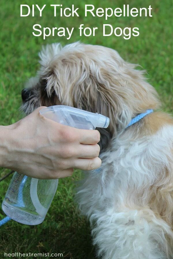 DIY Dog Repellent
 Natural DIY Tick Repellent Spray for Dogs Just 3
