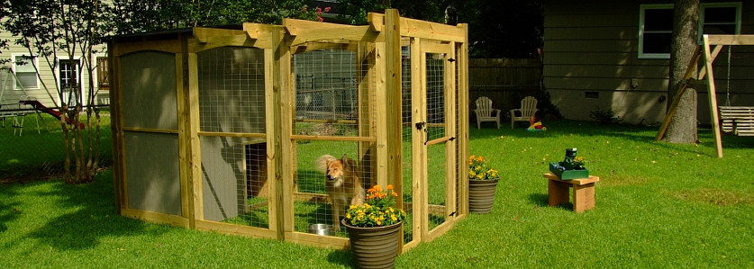 DIY Dog Runner
 DIY Network Project Dog Run with Pergola Top and House