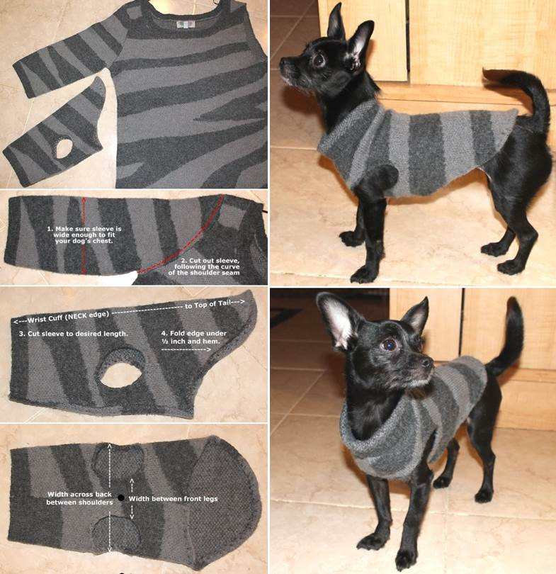 DIY Dog Sweaters
 Creative Ideas DIY Dog Sweater from Old Sweater Sleeve