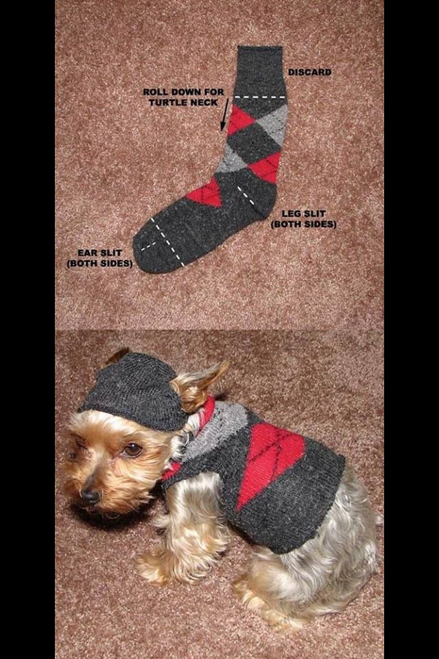 DIY Dog Sweaters
 DIY Small Dog Sweater Perfect For The Holidays Use A