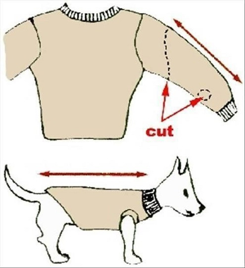 DIY Dog Sweaters
 How To Turn Old Sweaters and Sweatpants Into No Sew Dog