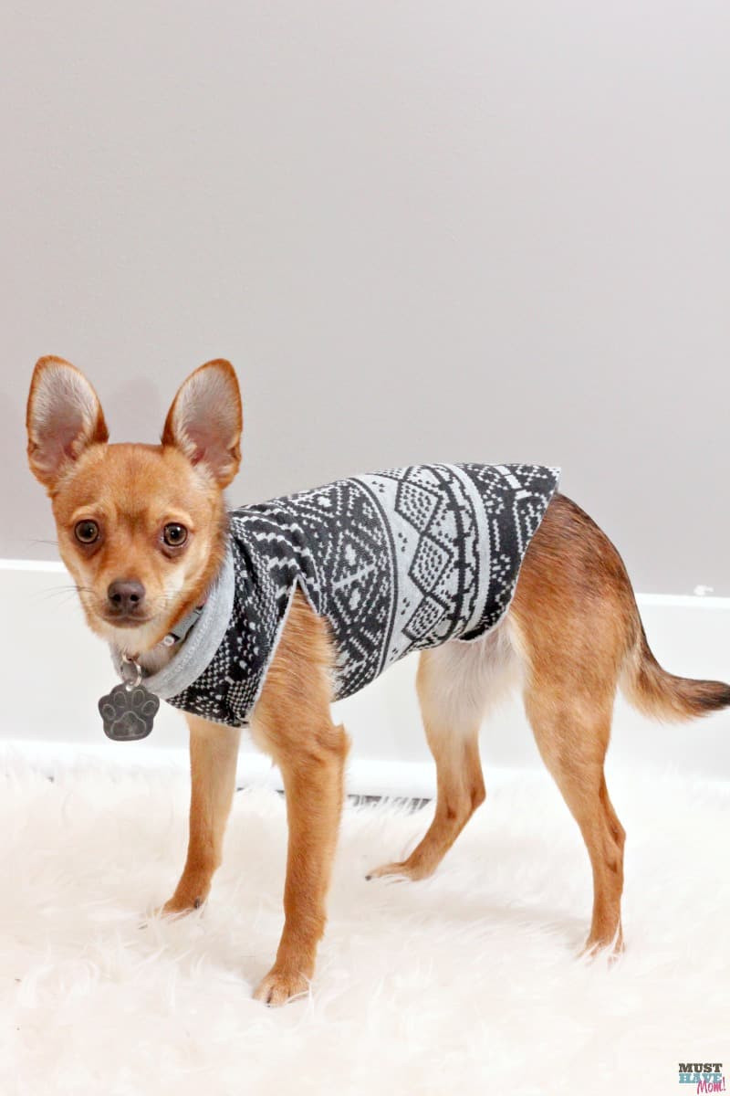 DIY Dog Sweaters
 Make A DIY Dog Sweater From A Sweatshirt Doggie Travel