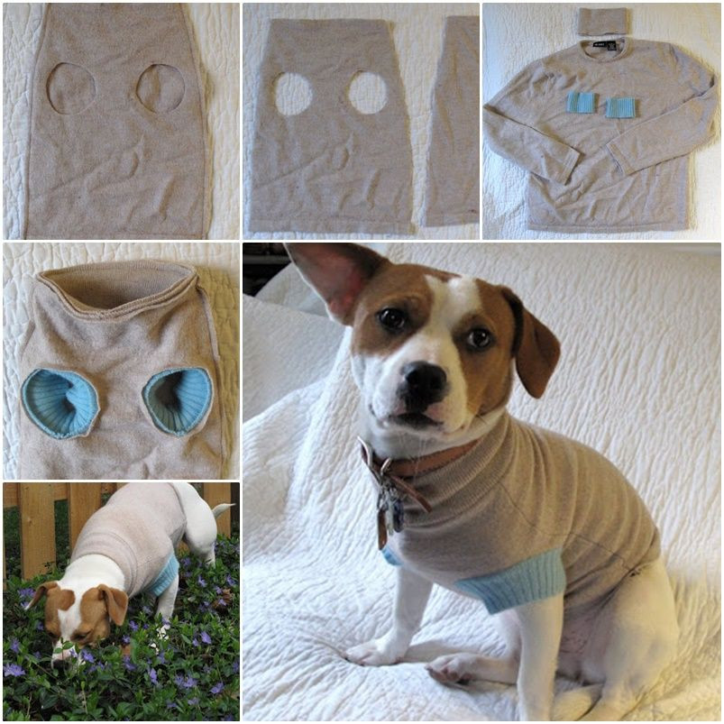 DIY Dog Sweaters
 DIY Upcycle old Sweater into Cute Pet Clothes