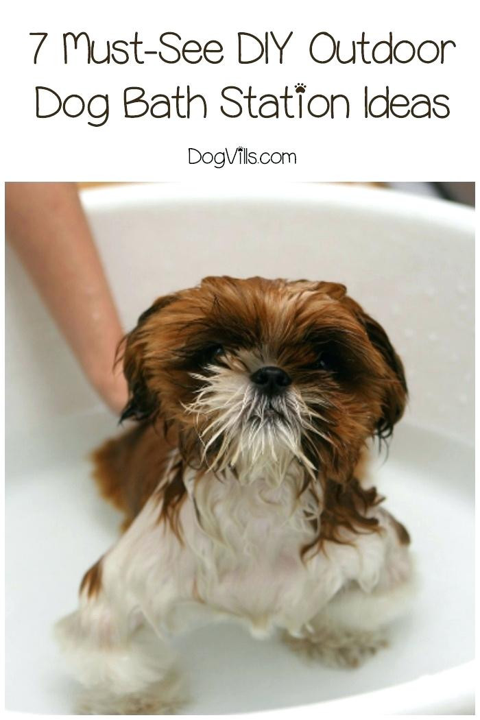 DIY Dog Wash Near Me
 diy dog bath