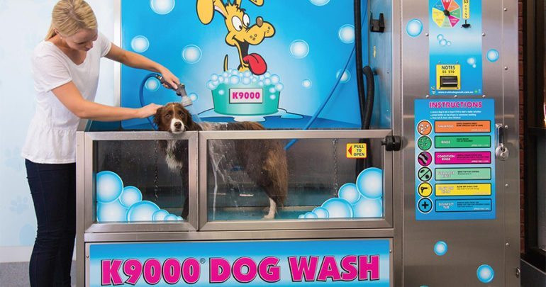 DIY Dog Wash Near Me
 DIY Coin Operated Dog Wash Stations Make Their Debut in