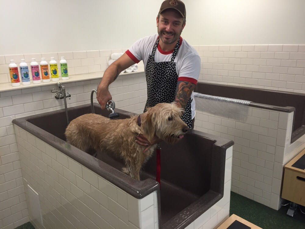 DIY Dog Wash Near Me
 Do it yourself dog washing stations Yelp