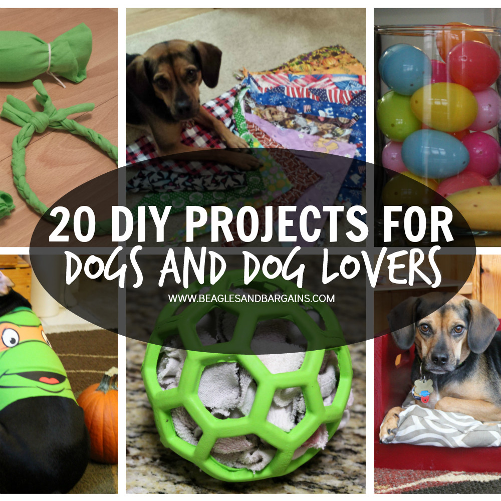 DIY For Dog
 20 DIY Projects for Dogs and Dog Lovers