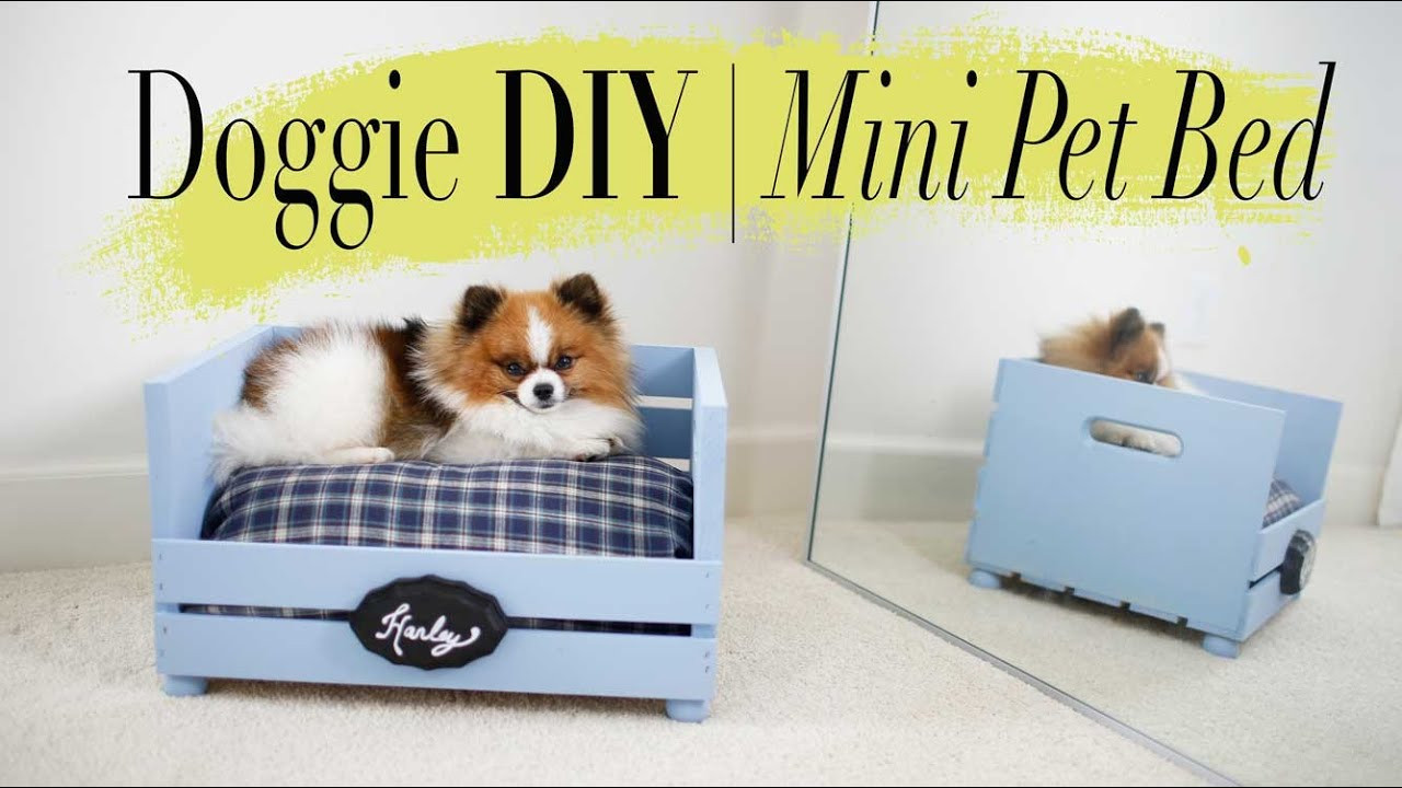 DIY For Dog
 DIY Super Easy Mini Dog & Cat Bed