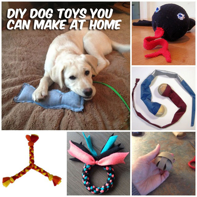 DIY For Dog
 37 Homemade Dog Toys Made by DIY Pet Owners