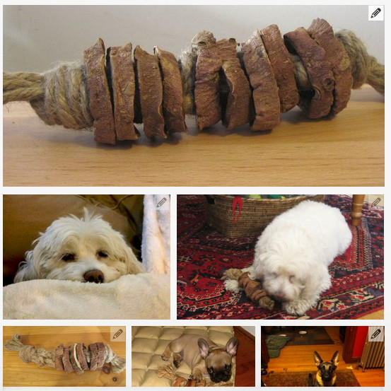 DIY For Dog
 44 Really Cool Homemade DIY Dog Toys Your Dog Will Love