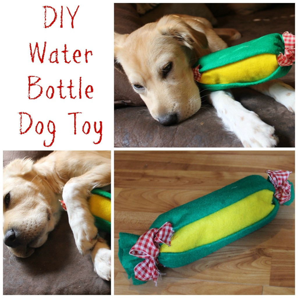 DIY For Dog
 Easy DIY Water Bottle Dog Toy