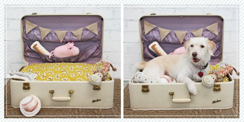 DIY For Dog
 Upcycle Vintage Suitcases DIY Projects Craft Ideas & How